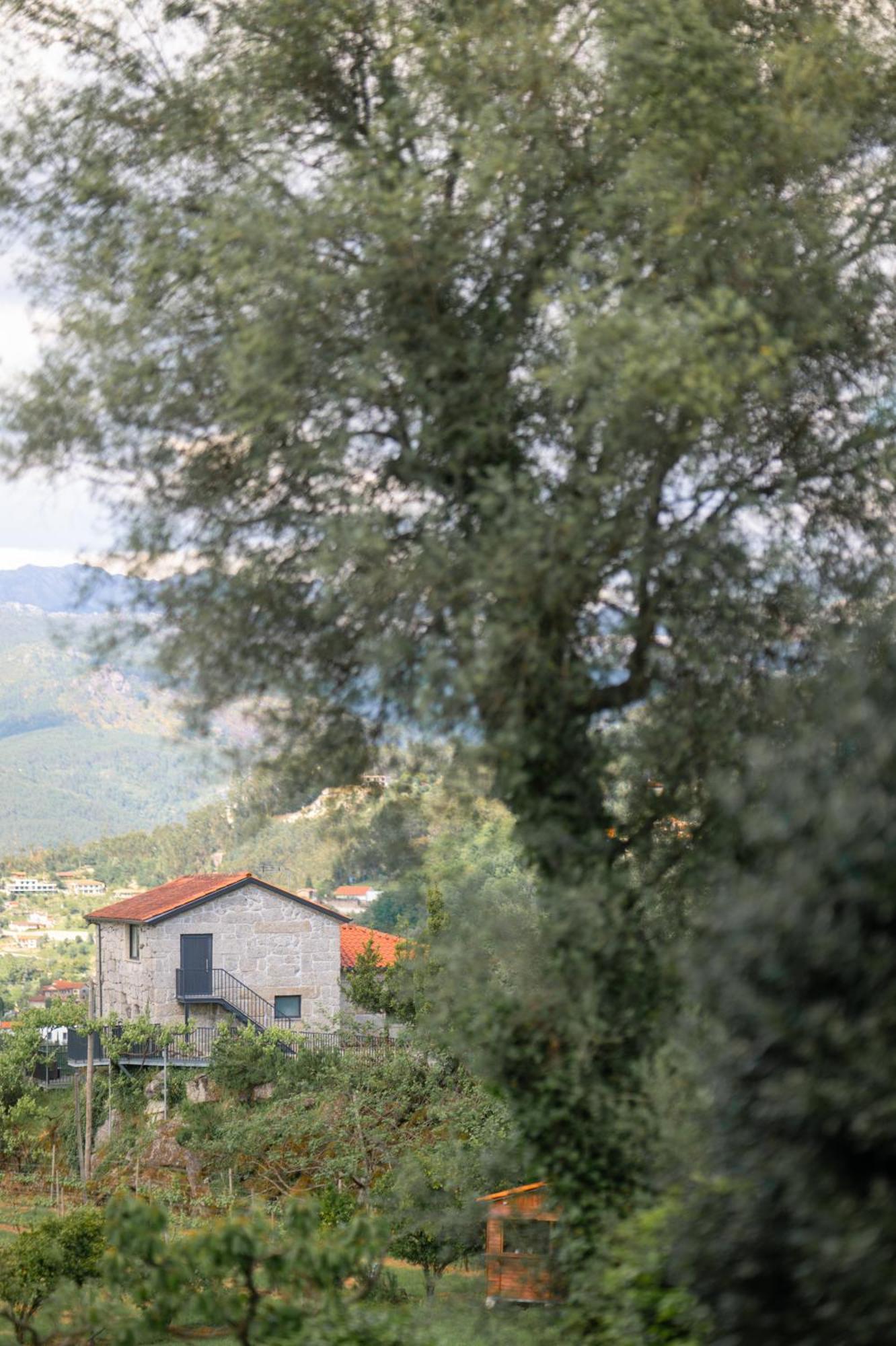 Quinta De Calvelos 维埃拉·多米尼奥 外观 照片