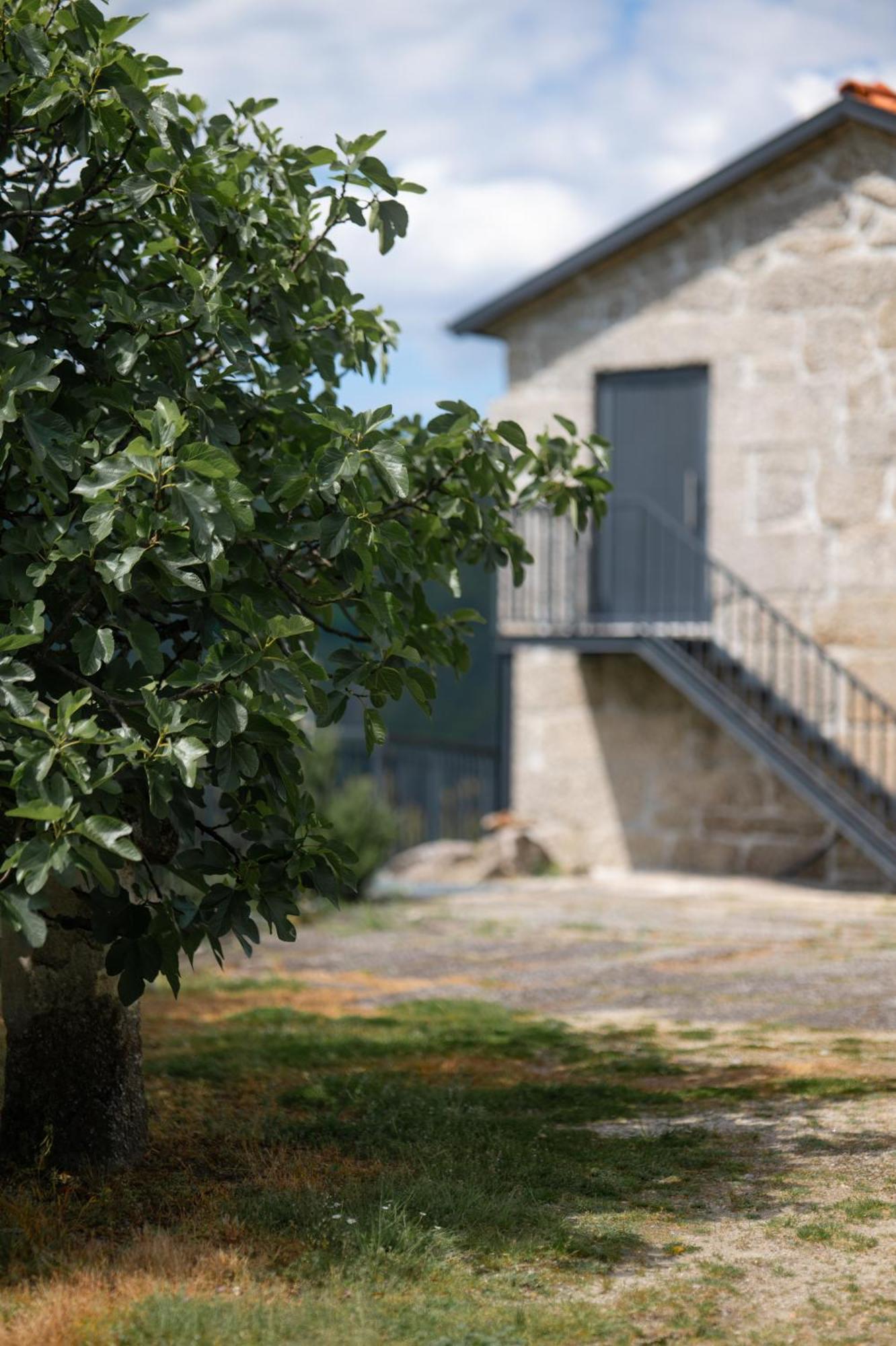 Quinta De Calvelos 维埃拉·多米尼奥 外观 照片